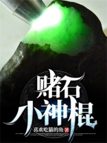 赌石小神棍 小说