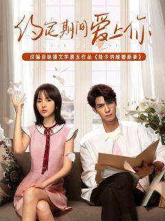 陆少的暖婚新妻小说全文免费阅读无弹窗