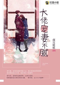 大佬宠妻不腻完整版
