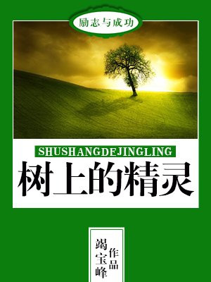 树上的精灵读后感300字