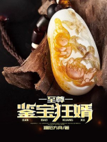 至尊鉴宝狂婿 小说