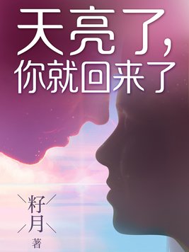 天亮了你就回来了电视剧