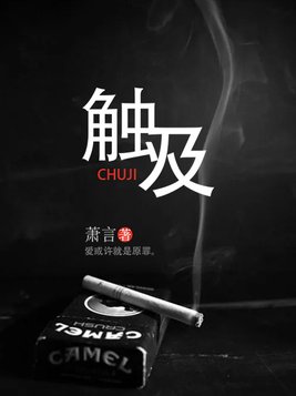 触及小说免费阅读
