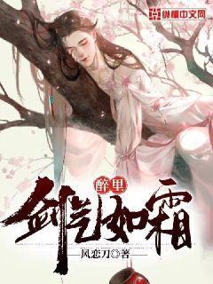 醉里,剑气如霜全文阅读