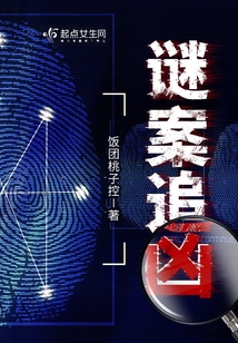 谜案追凶小说饭团桃子控