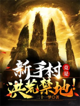 在新手村练到满级的小说