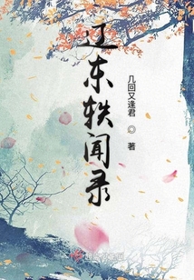 辽东轶闻手记有几部