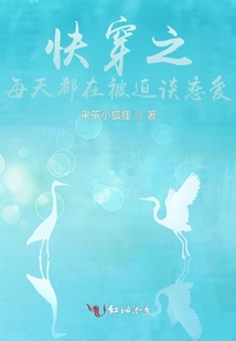 快穿之每天都在撩病娇 小说