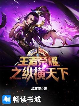 王者荣耀之纵横天下洛轩