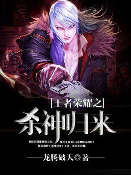王者荣耀之杀神归来笔趣阁