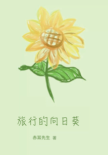向日葵的种子如何旅行