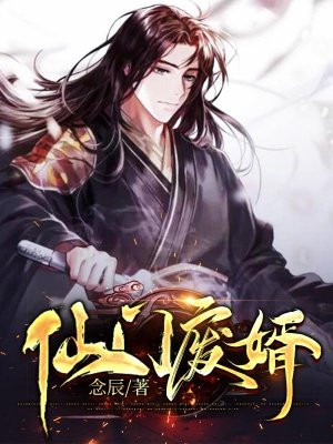 小说仙医废婿