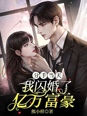 分手当天,我闪婚了亿万富豪txt