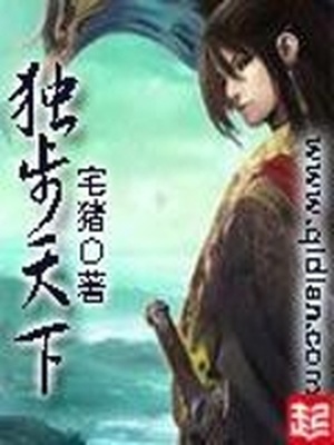 独步天下东哥和皇太极什么时候在一起