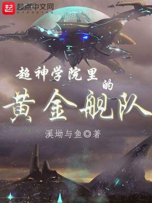 超神学院里的黄金舰队 小说