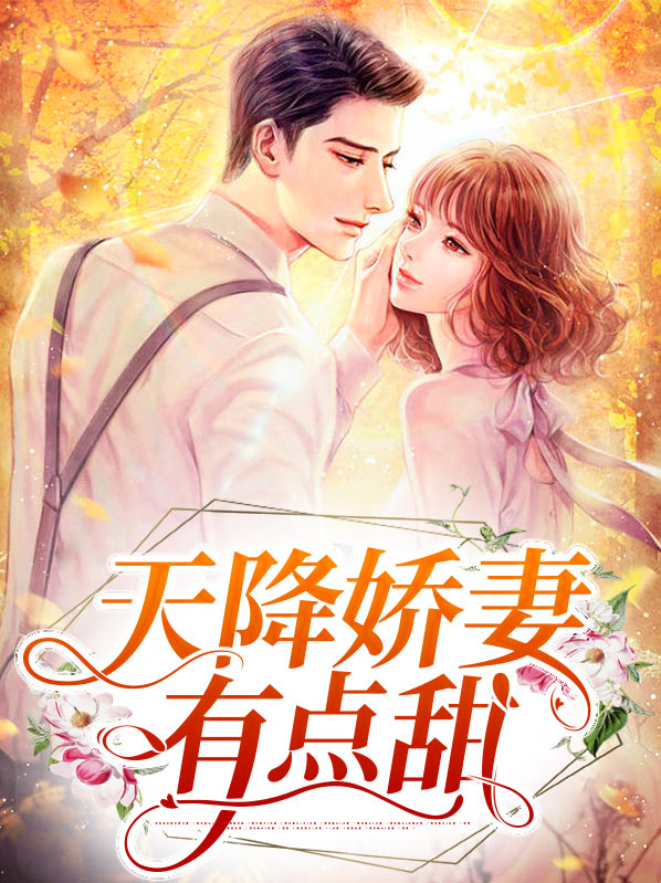 天降娇妻小说全文免费阅读