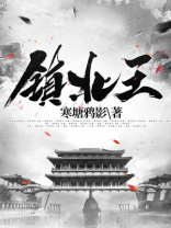 镇北王秦泽原著小说免费阅读