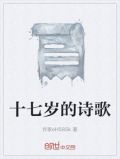 十七岁的诗歌