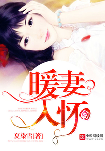 暖妻入怀:禁欲老公,放肆宠写的什么