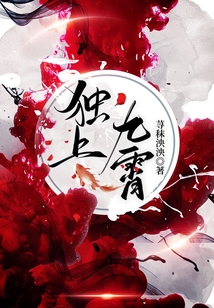 独上九霄 小说