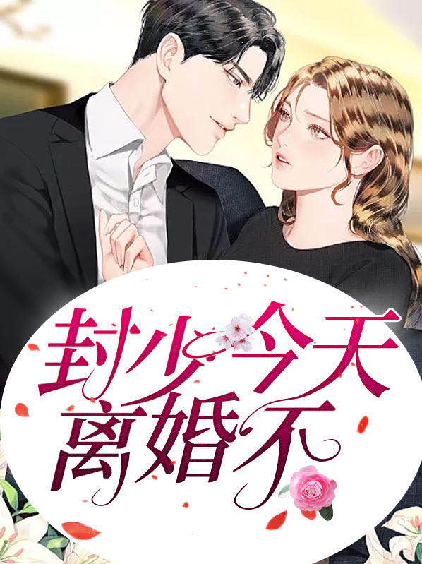 翡少今天离婚吗