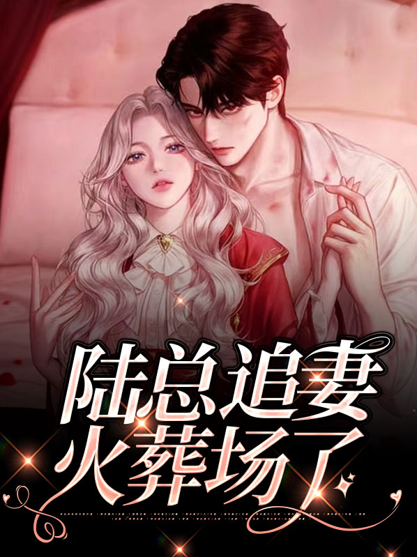 追夫火葬场陆南桥