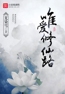 唯爱修仙路 小说