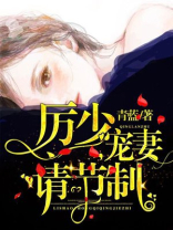 厉少宠妻请节制 小说