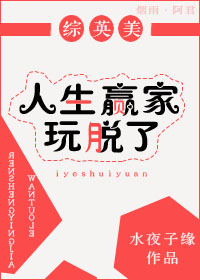 人生赢家系统