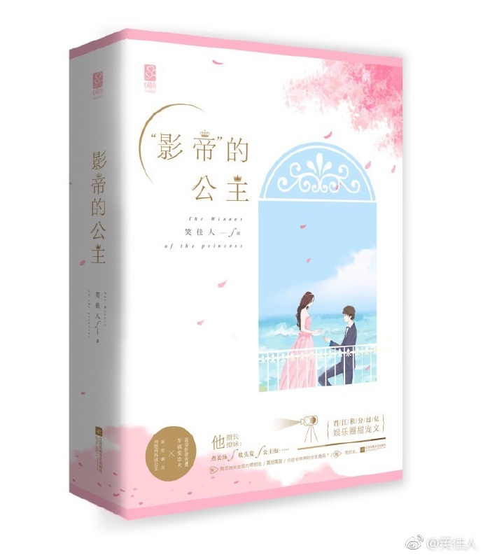 影帝的公主电视剧免费观看