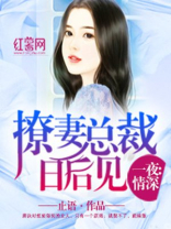 小说撩妻总裁日后见免费阅读