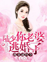 陆先生你命里缺我小说全文免费阅读