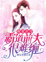 萌妻出没,霸道前夫很难缠小说