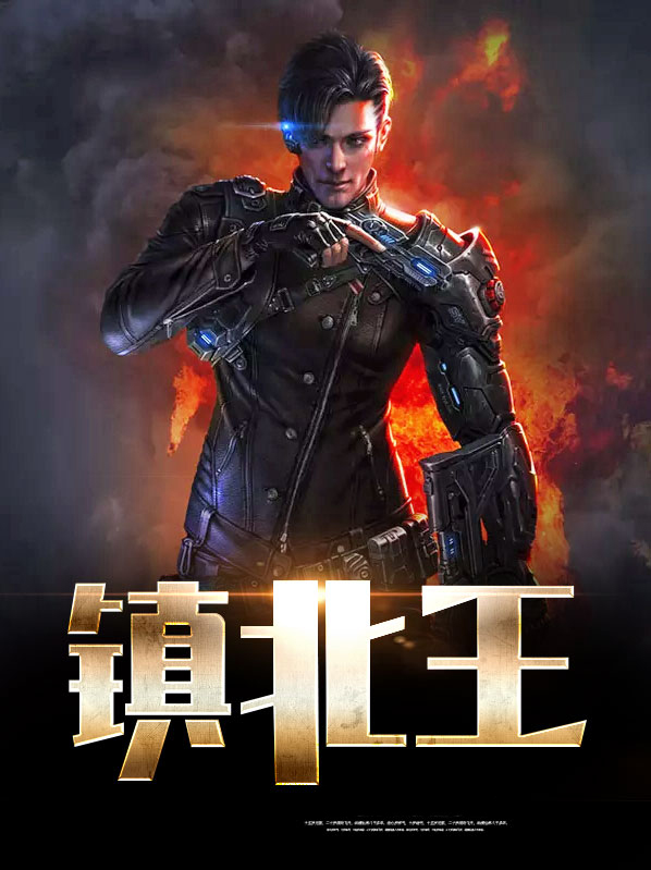 镇北王小说免费阅读