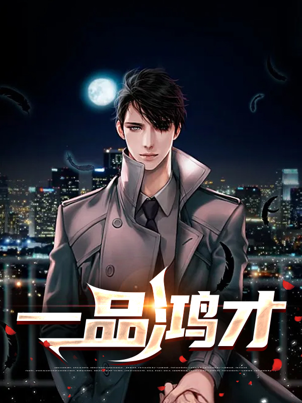 一品鸿才小说