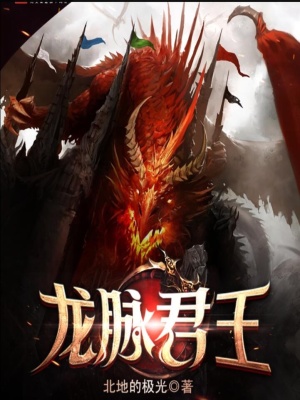 龙脉君王起点