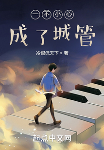 一不小心成了城管