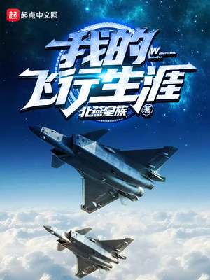 我的飞行生涯下载