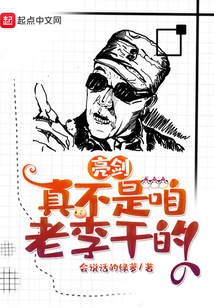 新版亮剑老李