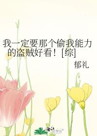 我一定要那个偷走我能力的盗贼好看