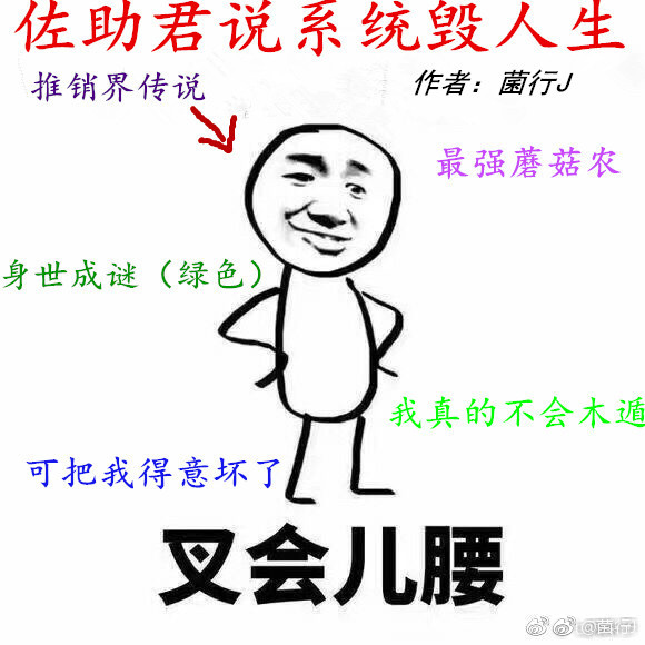 佐助君说系统毁人生免费