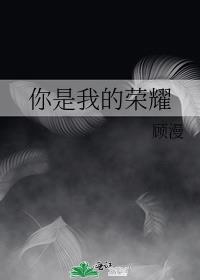 你是我的荣耀电视剧