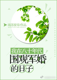 我在八十年代围观军婚的日子雨落窗帘无防盗全文
