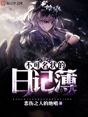 不可名状的日记簿小说