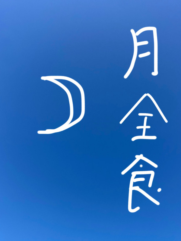 月全食的形成原理图