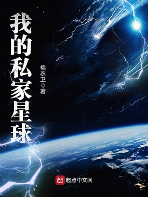 我的私家星球TXT