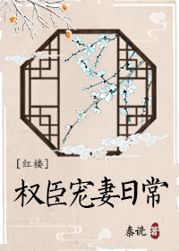 [红楼]权臣宠妻日常txt