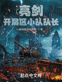 亮剑之开局一个团 起点
