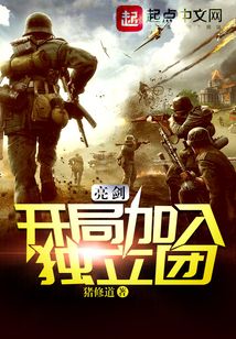 亮剑:开局一个团