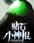 赌石小神棍